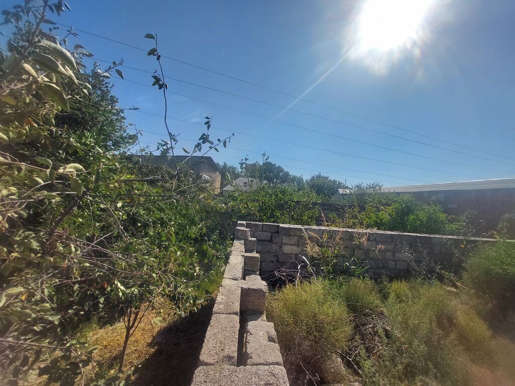 Tikinti