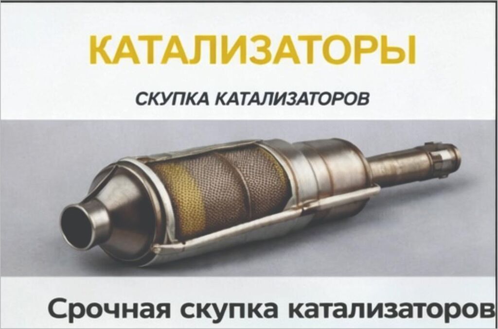 Скупка катализаторов дорого Катализатор дорого котализатор: фото 2