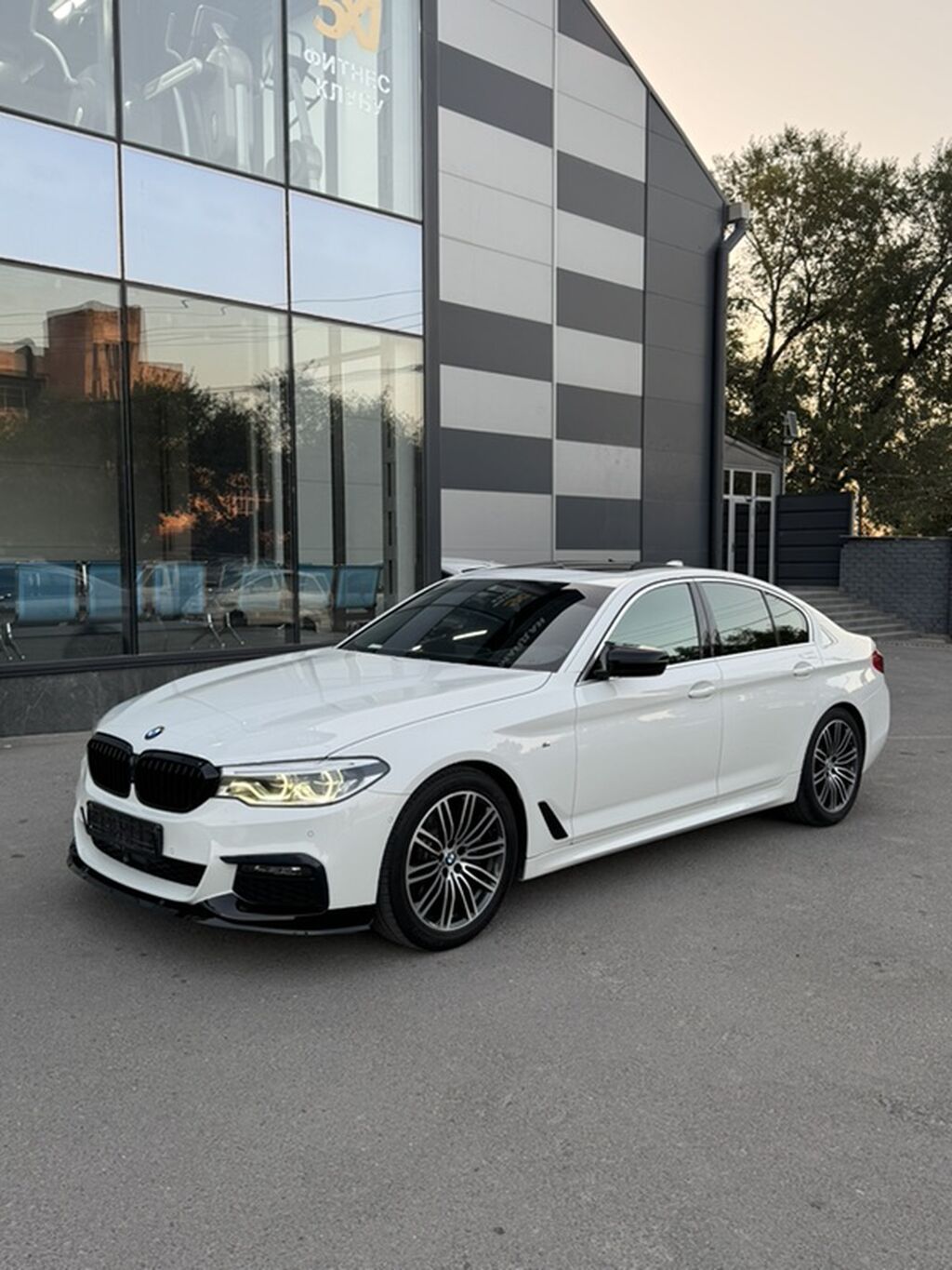 BMW 530: 2019 г., 2 л, Автомат, Бензин, Седан: фото 2