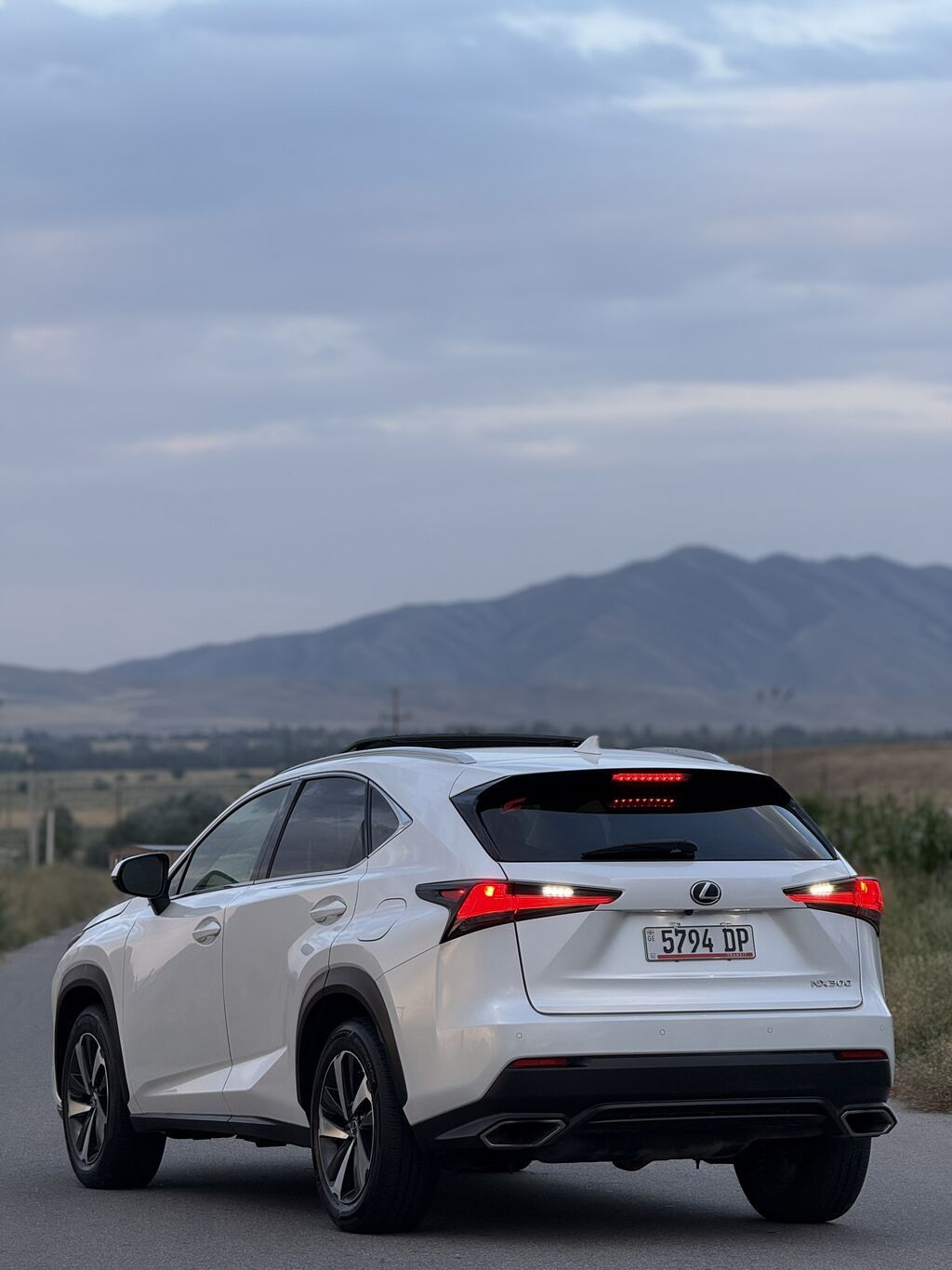 Lexus NX: 2020 г., 2 л, Автомат, Бензин, Кроссовер: фото 4