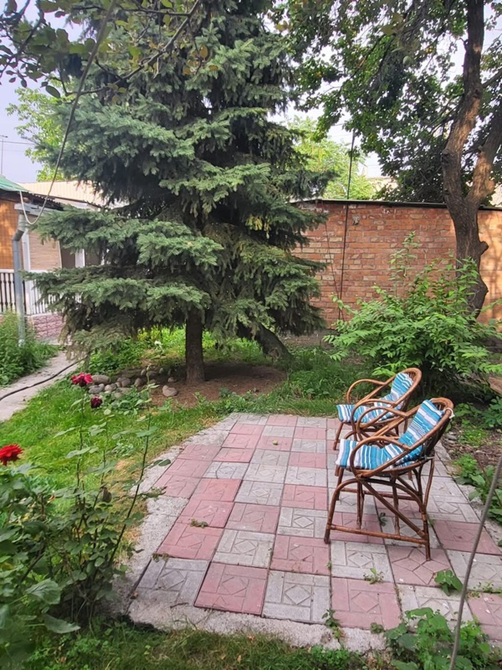 5 соток, Красная книга, Тех паспорт, Договор купли-продажи: фото 2