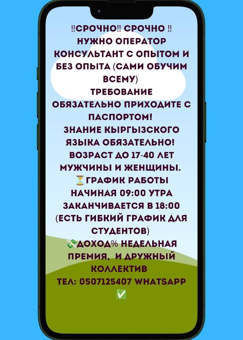 Соода тармагында консультанттык тажрыйбасы бар айымдар,: Договорная ᐈ  Продавцы-консультанты | Бишкек | 35729509 ➤ lalafo.kg