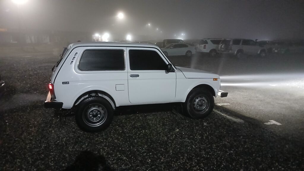 ВАЗ (ЛАДА) 4x4 Нива: 2002 г., 1.7 л, Механика, Бензин, Внедорожник: фото 7