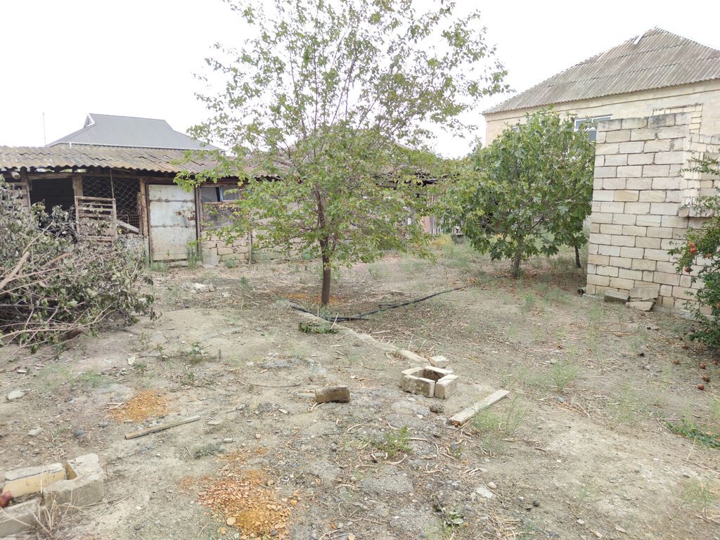 6 sot, Tikinti, Mülkiyyətçi, Kupça (Çıxarış)