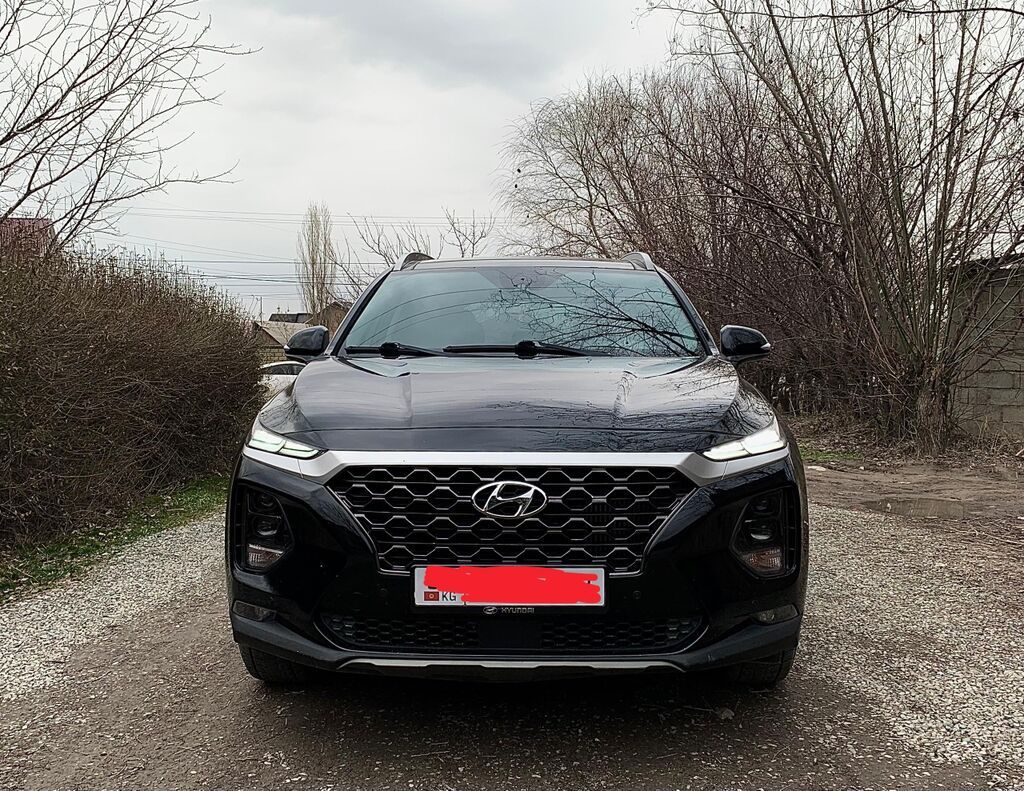 Hyundai Santa Fe: 2019 г., 2 л, Автомат, Бензин, Внедорожник: фото 8