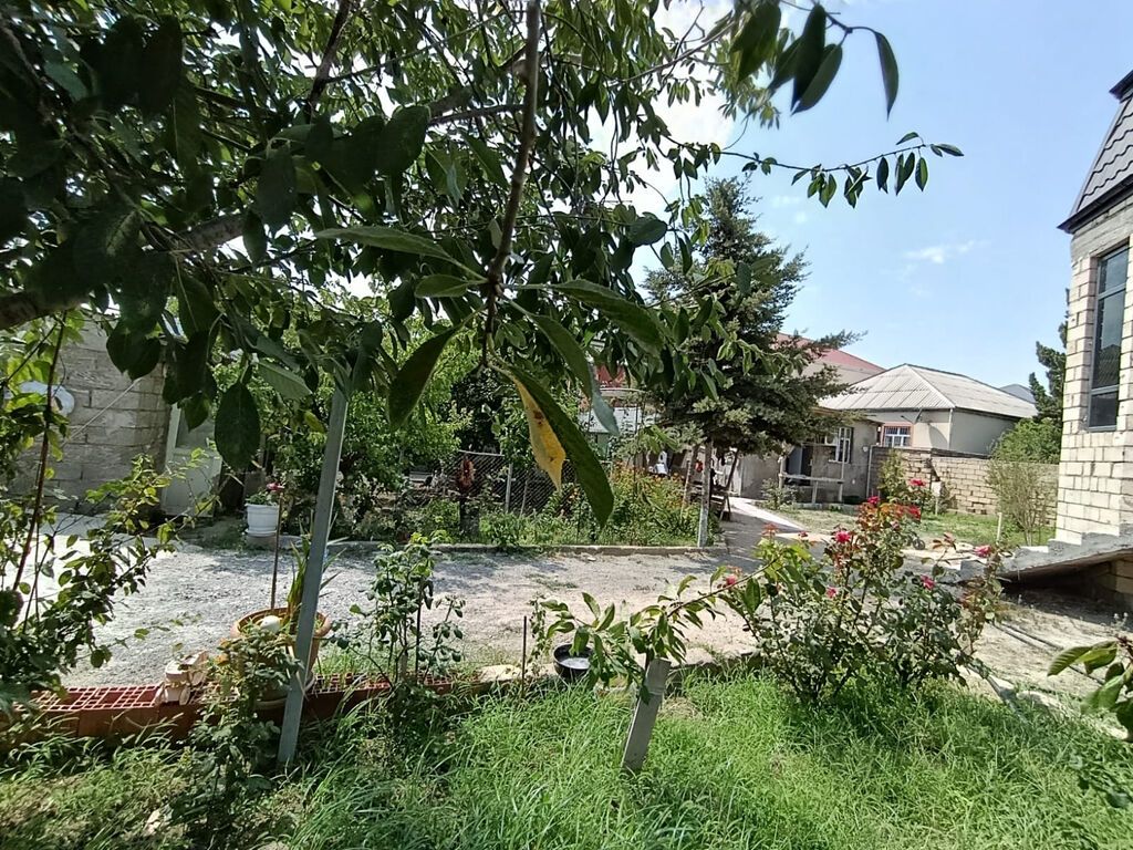 3 sot, Tikinti, Kupça (Çıxarış), Bələdiyyə