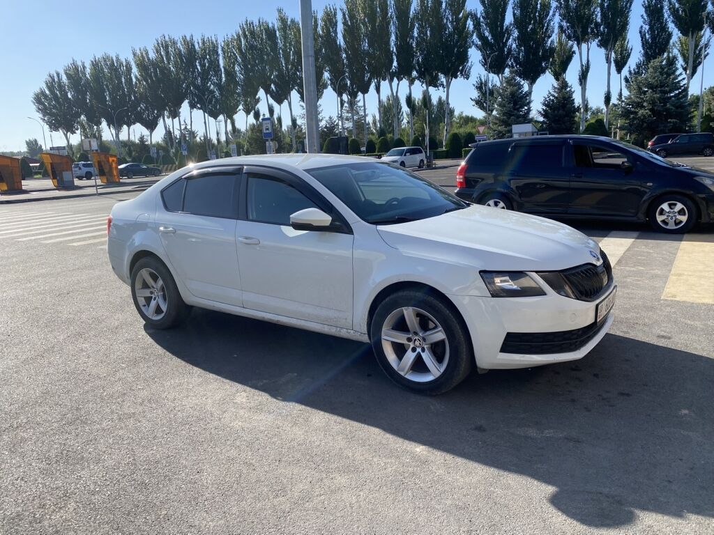 Skoda Octavia: 2017 г., 1.6 л, Механика, Бензин, Лифтбек: фото 3