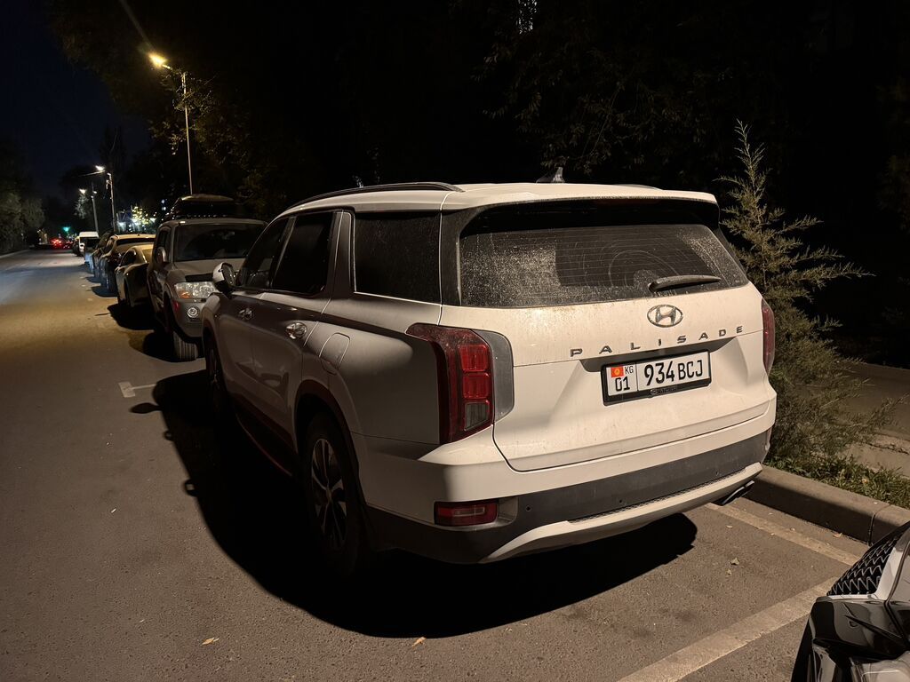 Hyundai Palisade: 2019 г., 2.2 л, Автомат, Дизель: фото 1