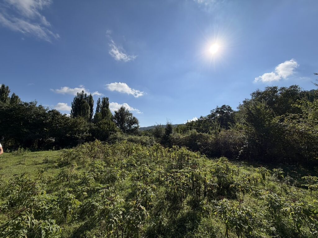 3 sot, Tikinti, Mülkiyyətçi, Kupça (Çıxarış)