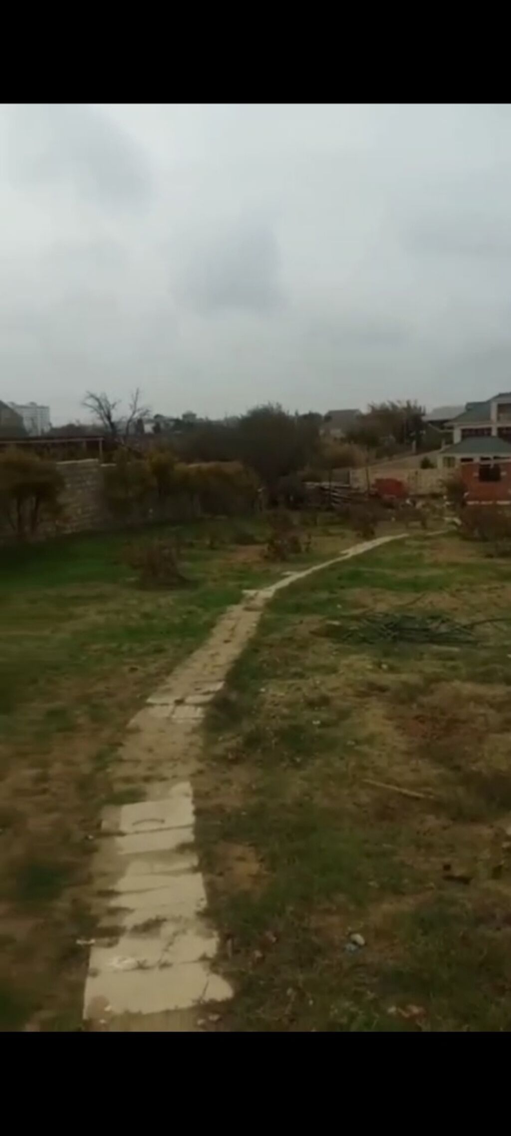 Tikinti