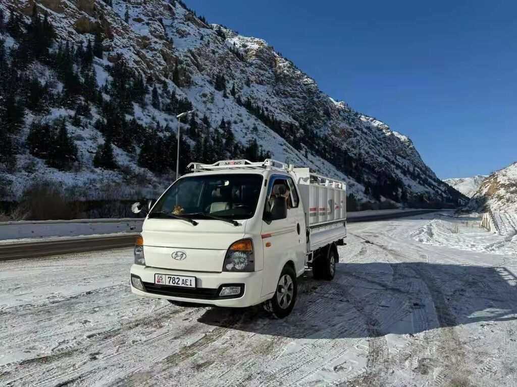 Вывоз строй мусора, 3000 тонн