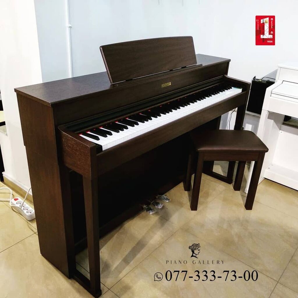 Mayga piano shop