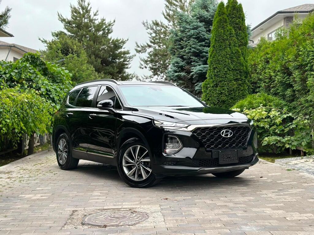 Hyundai Santa Fe: 2019 г., 2 л, Автомат, Дизель, Кроссовер: фото 2
