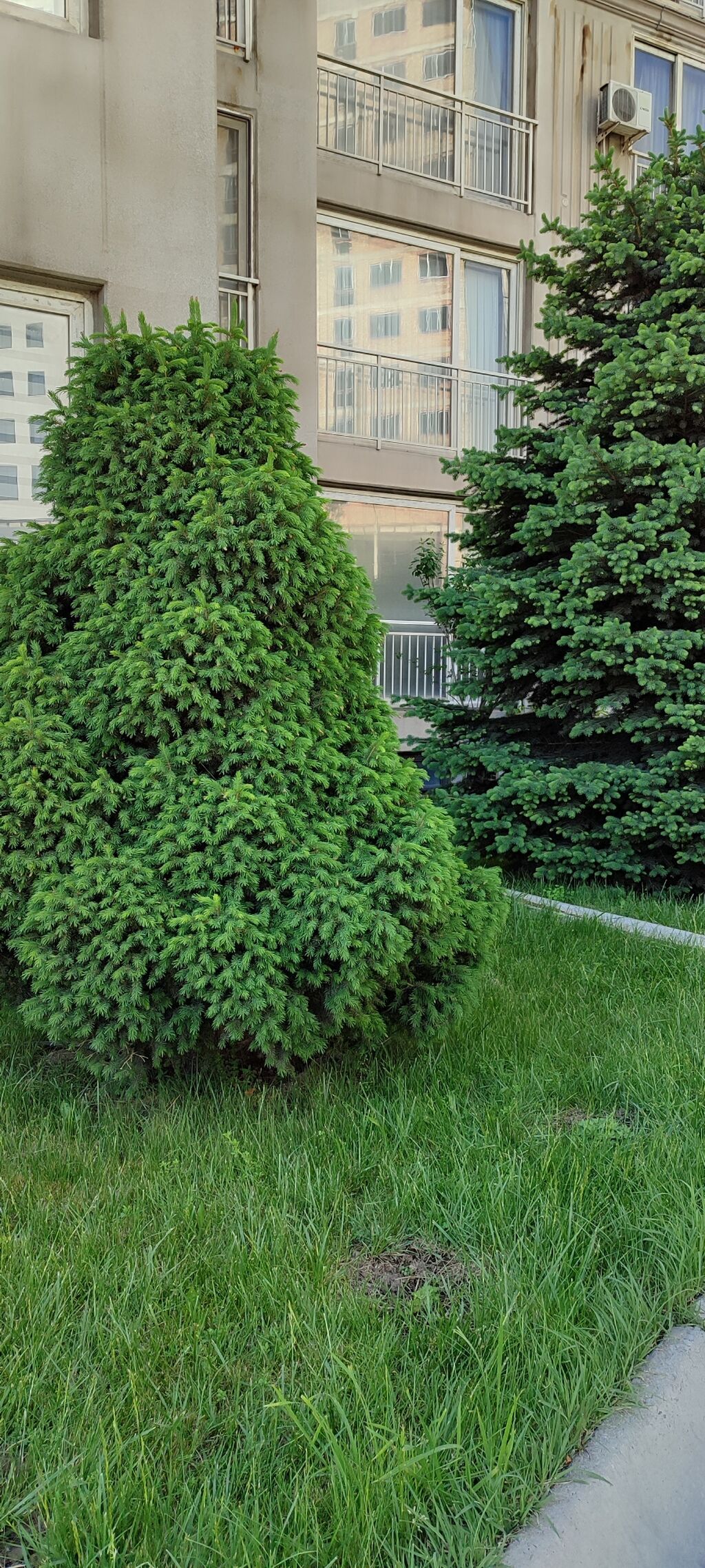 3 комнаты, 87 м², Джал мкр (в т.ч. Верхний, Нижний, Средний) Элитка, 11 этаж: фото 8