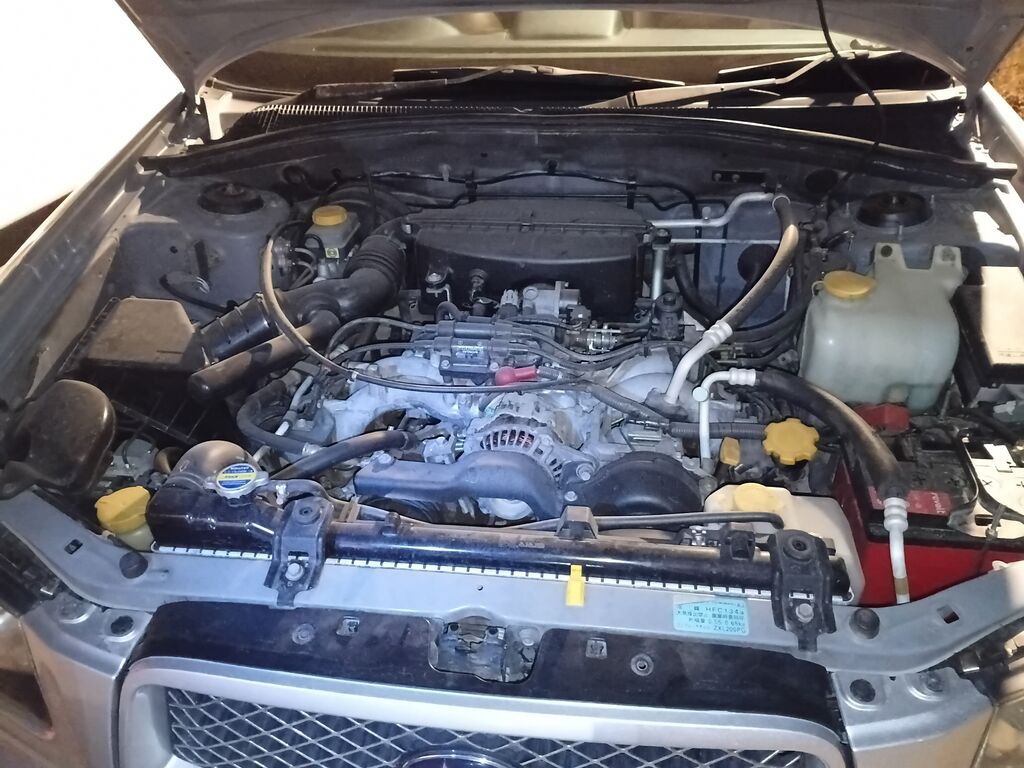 Subaru Forester: 2004 г., Универсал: фото 8