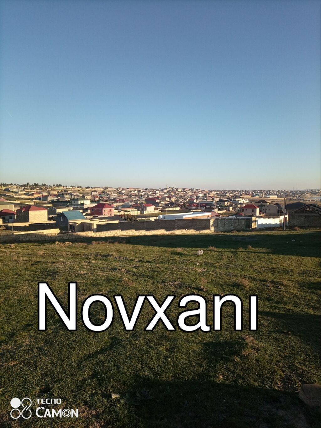 Tikinti