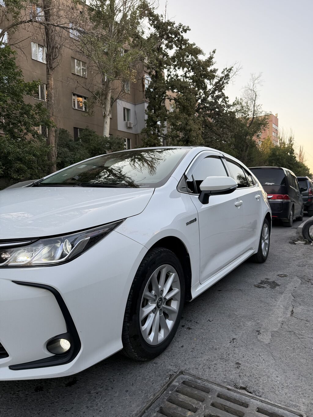 Toyota Corolla: 2020 г., Гибрид, Седан: фото 3