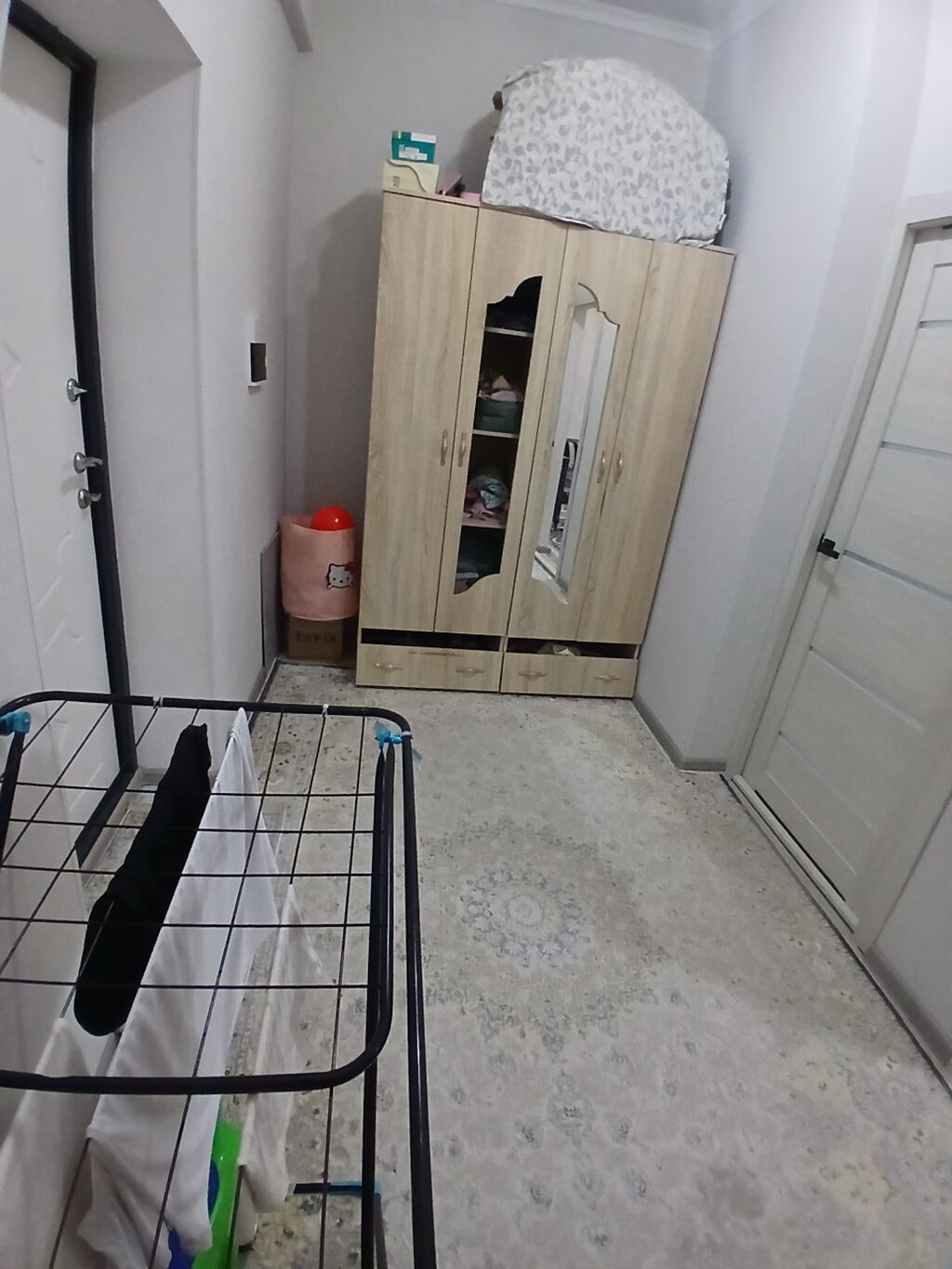 1 комната, 48 м², Элитка, Манас-Ата мкр., Элитка, 10 этаж, Свежий ремонт: фото 3