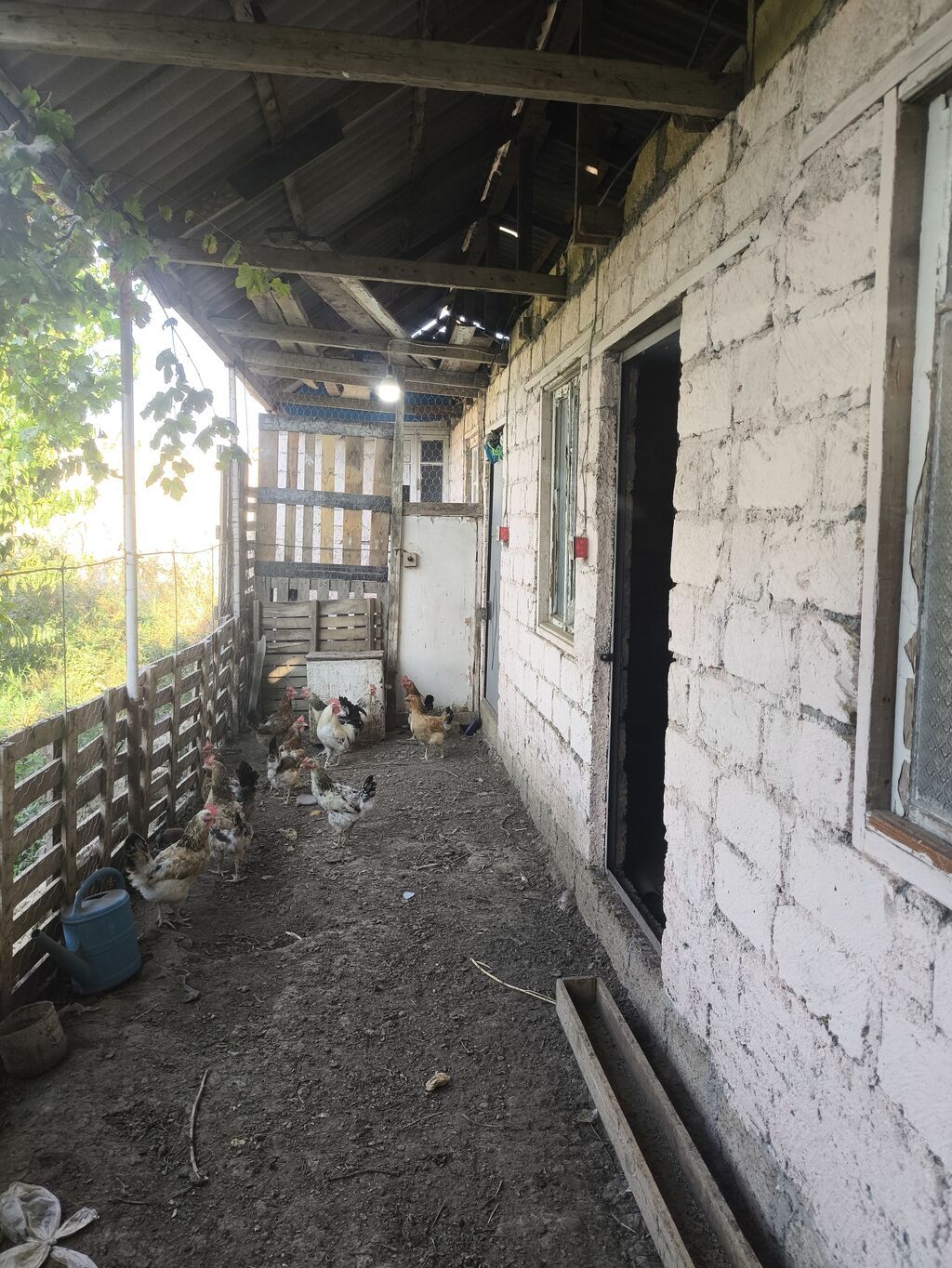 8 sot, Tikinti, Kupça (Çıxarış)