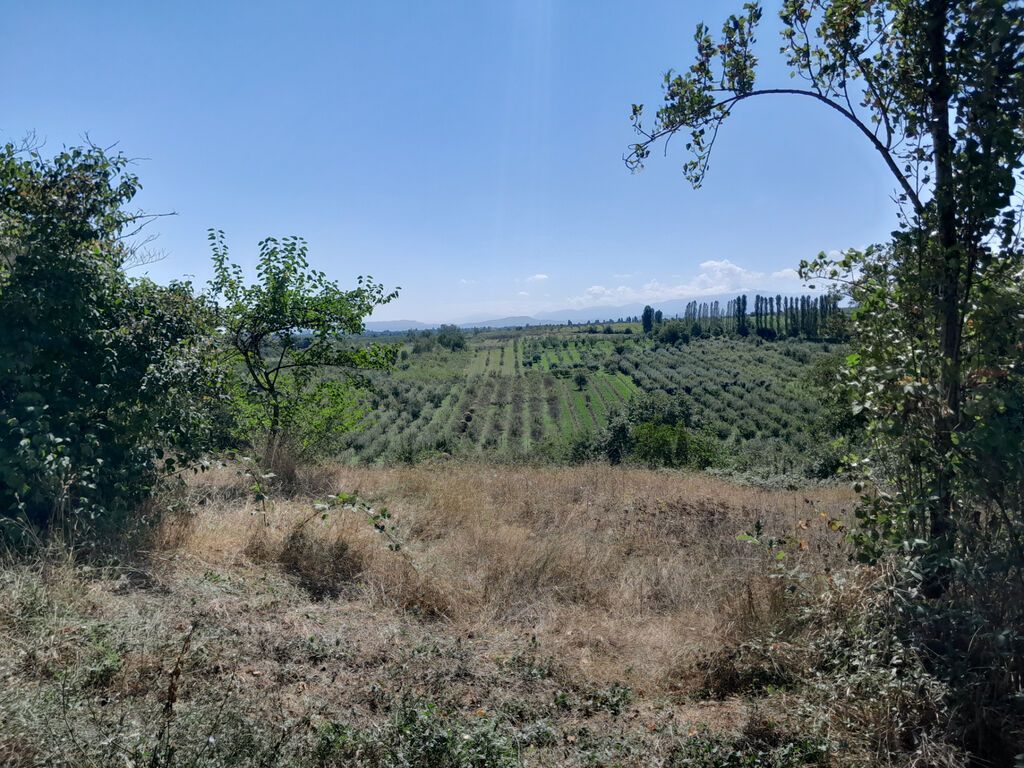 3 otaqlı, Yeni tikili, 60 kv. m