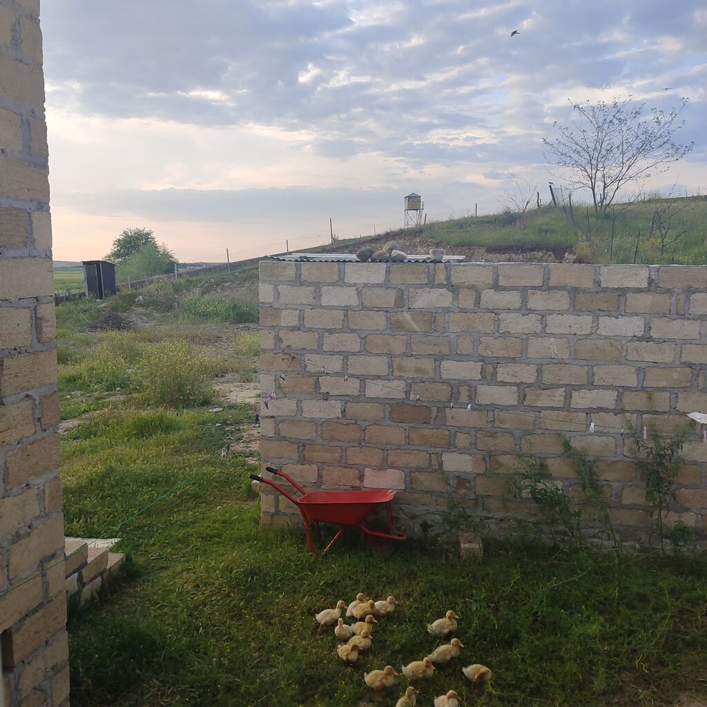 2 otaqlı, 8 kv. m, Kredit yoxdur, Təmirsiz