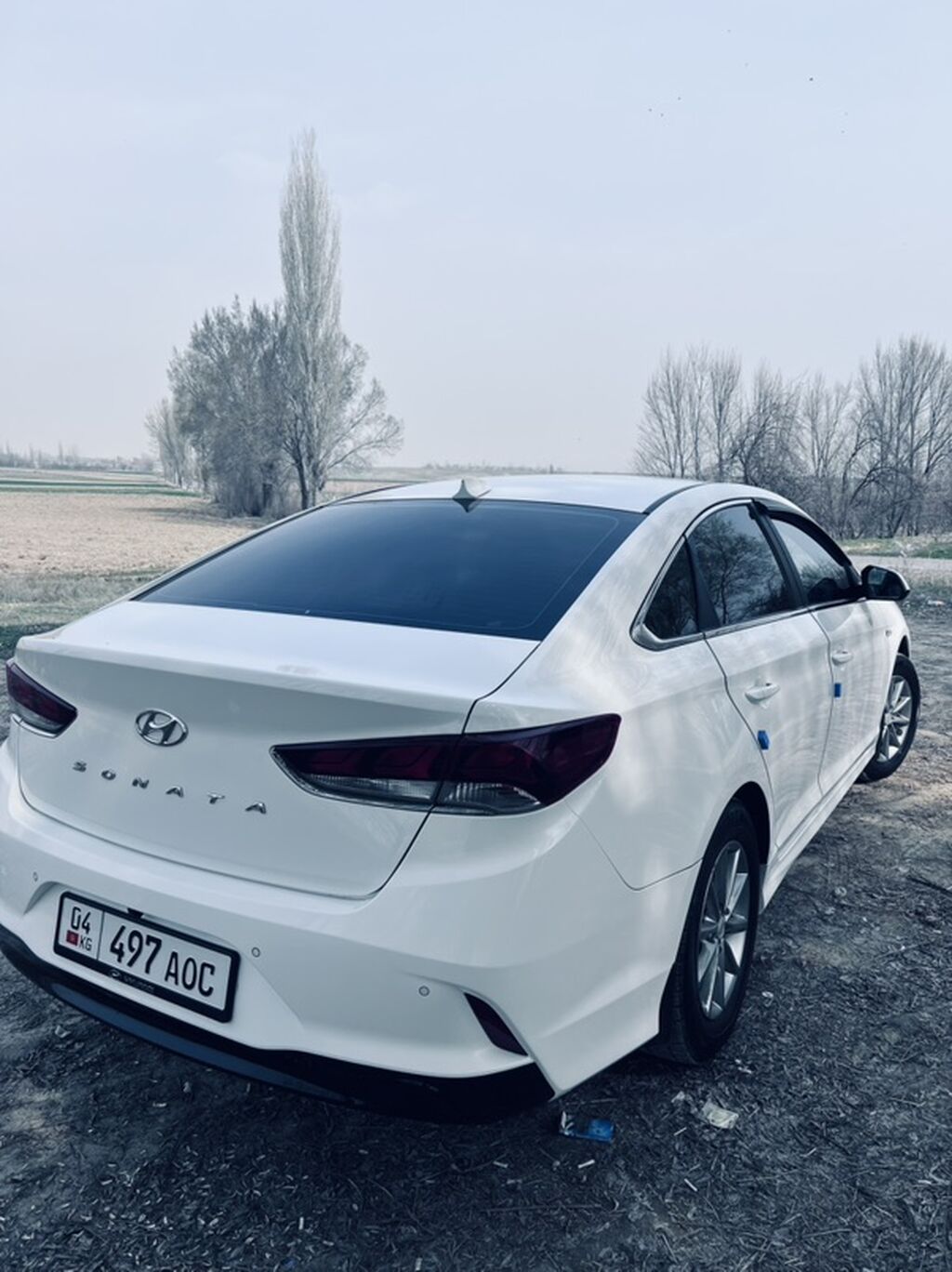 Hyundai Sonata: 2020 г., 2 л, Автомат, Газ, Седан: фото 2