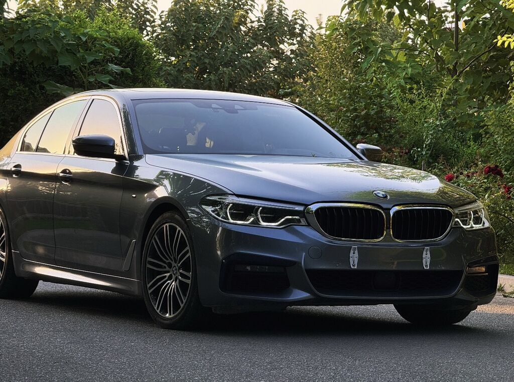 BMW 5 series: 2019 г., 2 л, Автомат, Бензин, Седан: фото 2