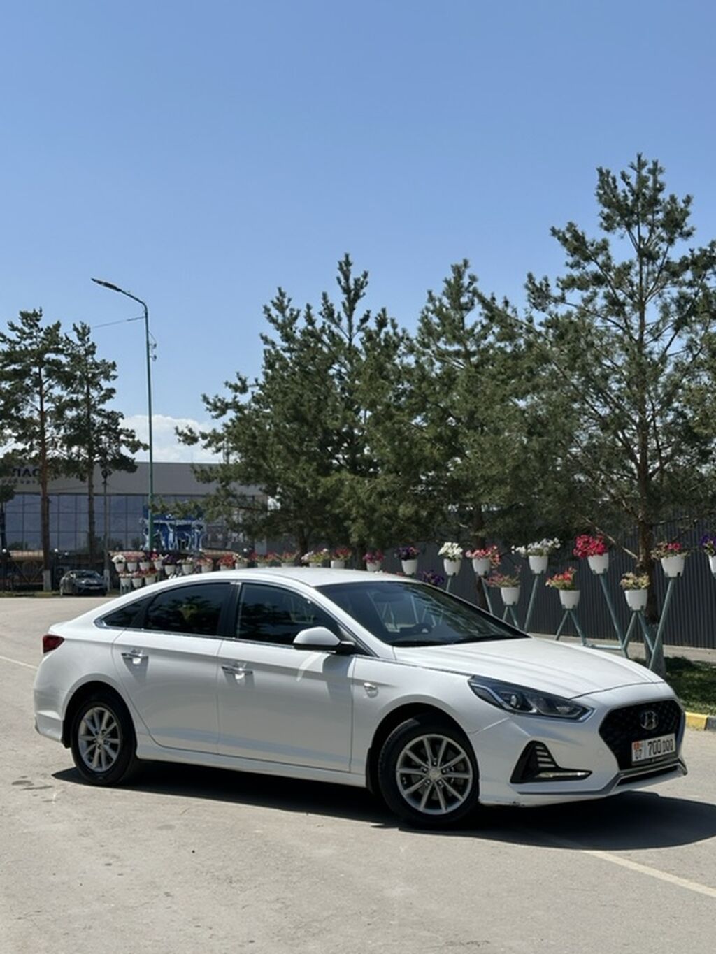 Hyundai Sonata: 2021 г., 2 л, Автомат, Газ, Седан: фото 3