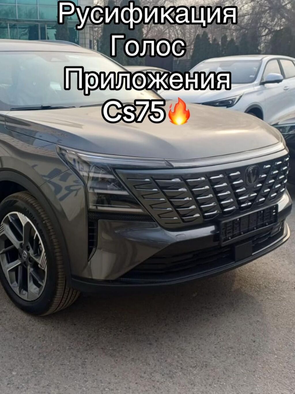 Русификация китайских корейский в Бишкеке Купили авто из Китая и — фото 6
