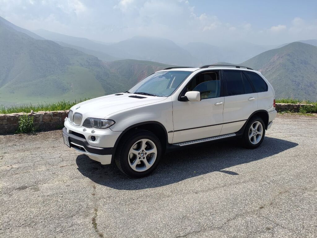 BMW X5: 2004 г., 3 л, Автомат, Бензин: фото 7