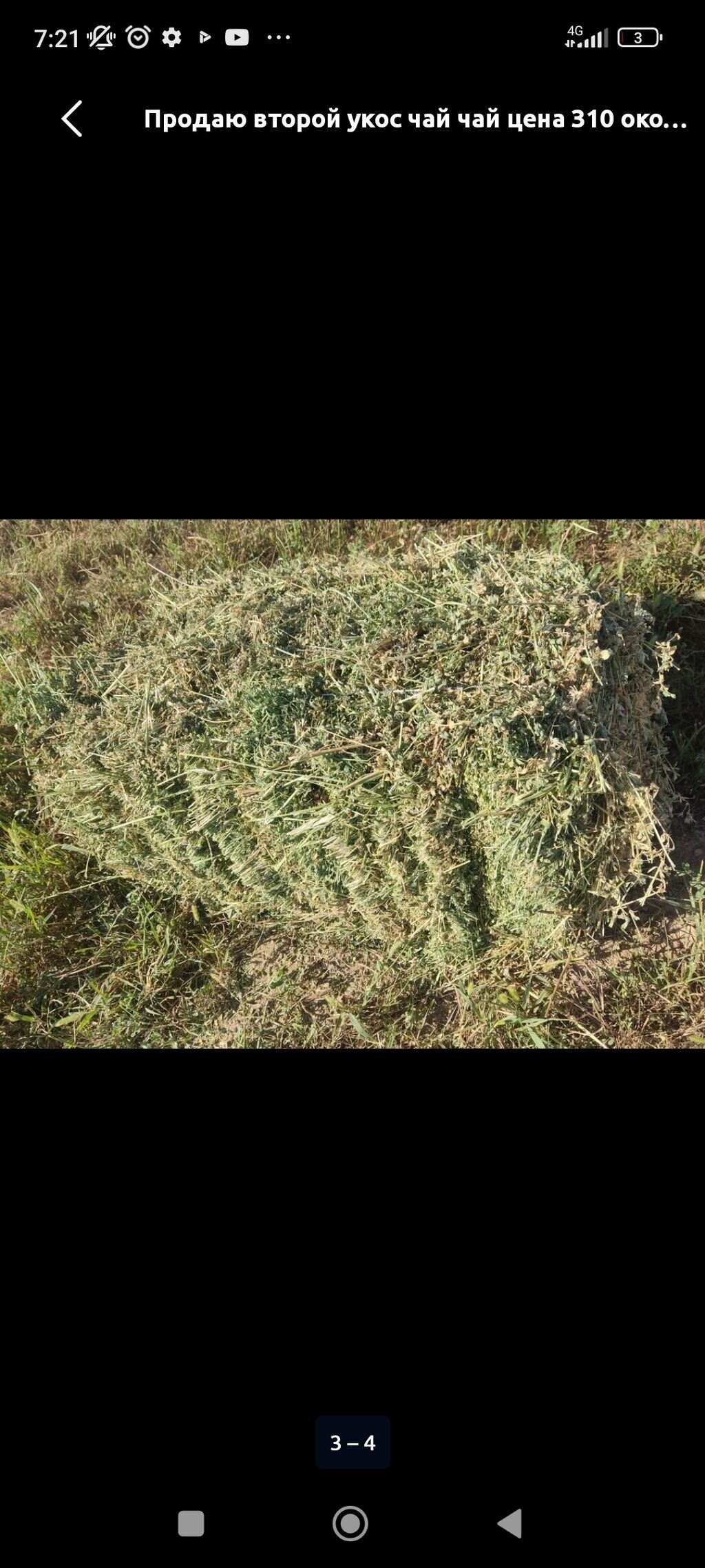 Сено в тюках — второй укос, люцерна. - Тип корма: люцерна: фото 2