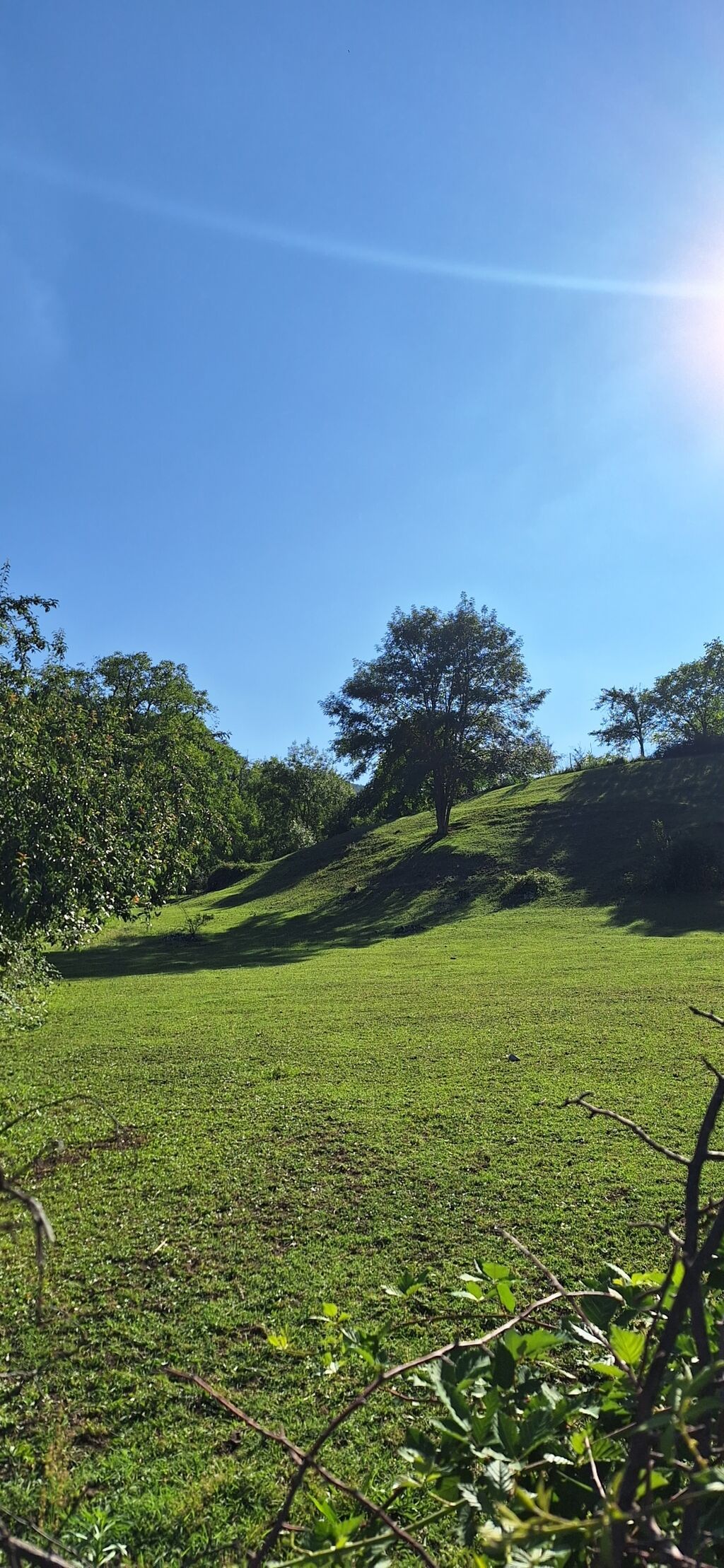 4000 sot, Tikinti, Mülkiyyətçi, Kupça (Çıxarış)