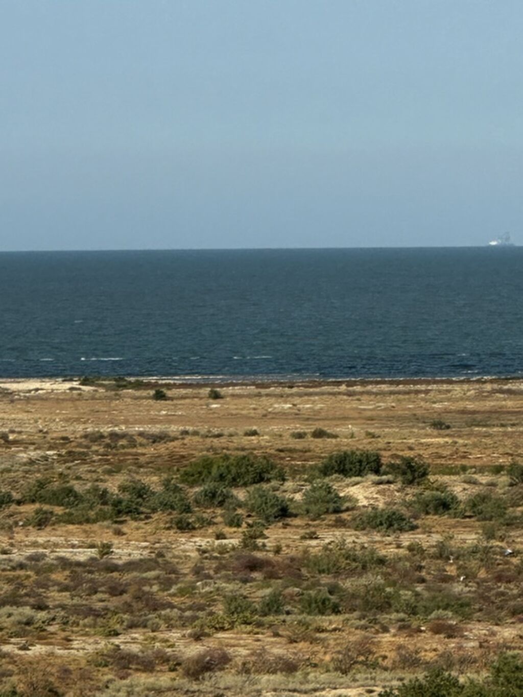 6 sot, Tikinti, Mülkiyyətçi, Kupça (Çıxarış)