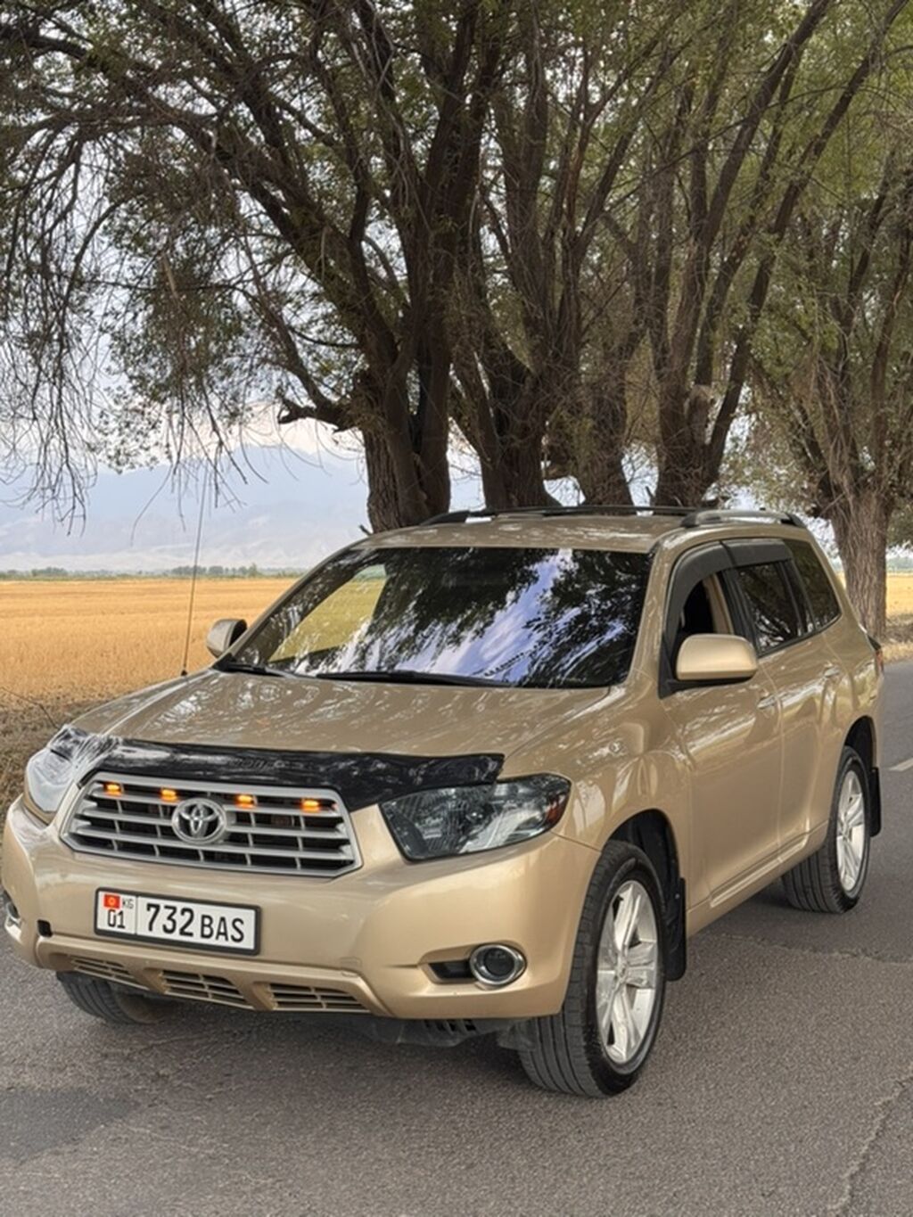 Toyota Highlander: 2008 г., 3.5 л, Автомат, Бензин, Кроссовер: фото 4