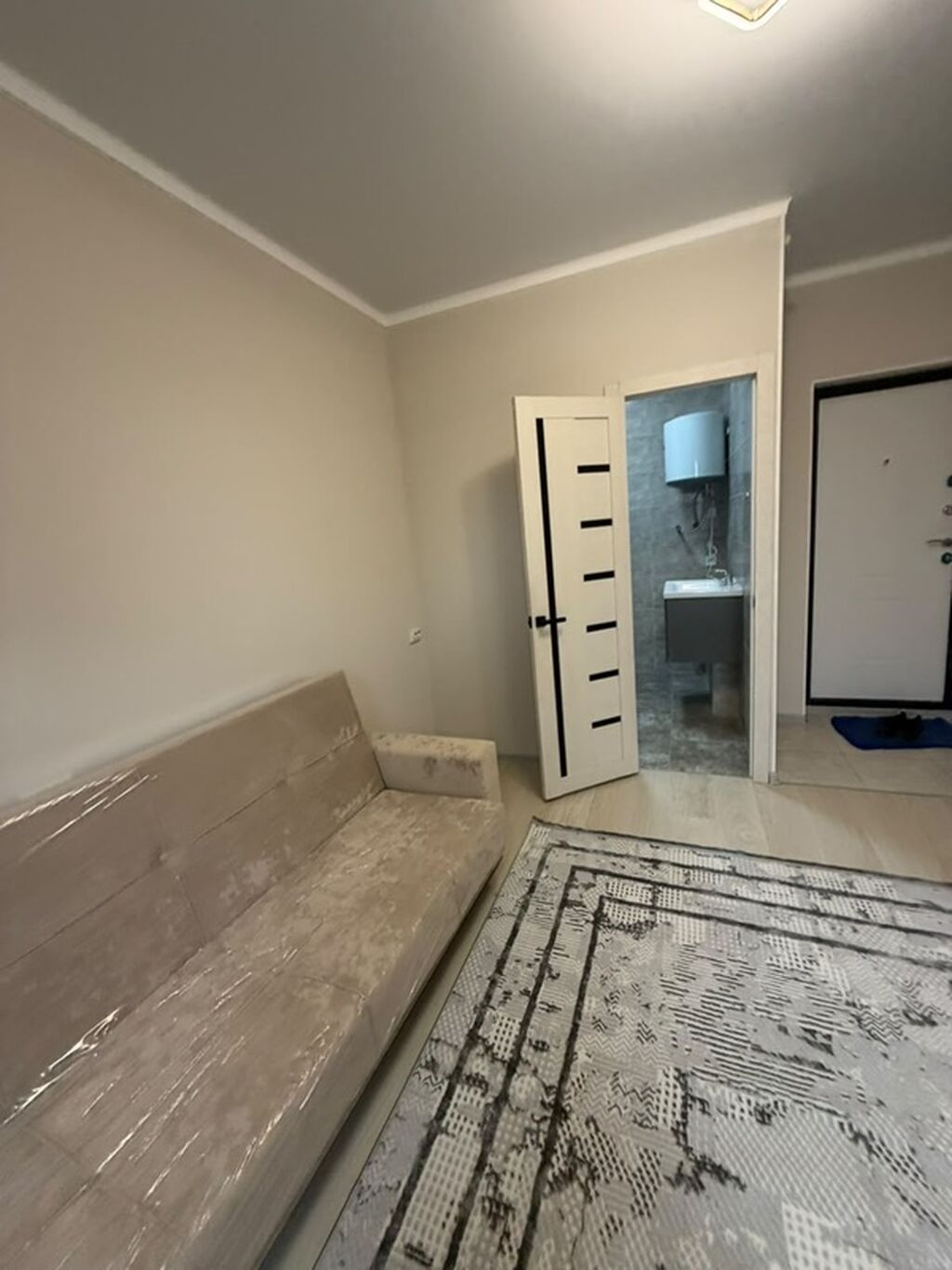 1 комната, 20 м², 1 этаж, Косметический ремонт: фото 8