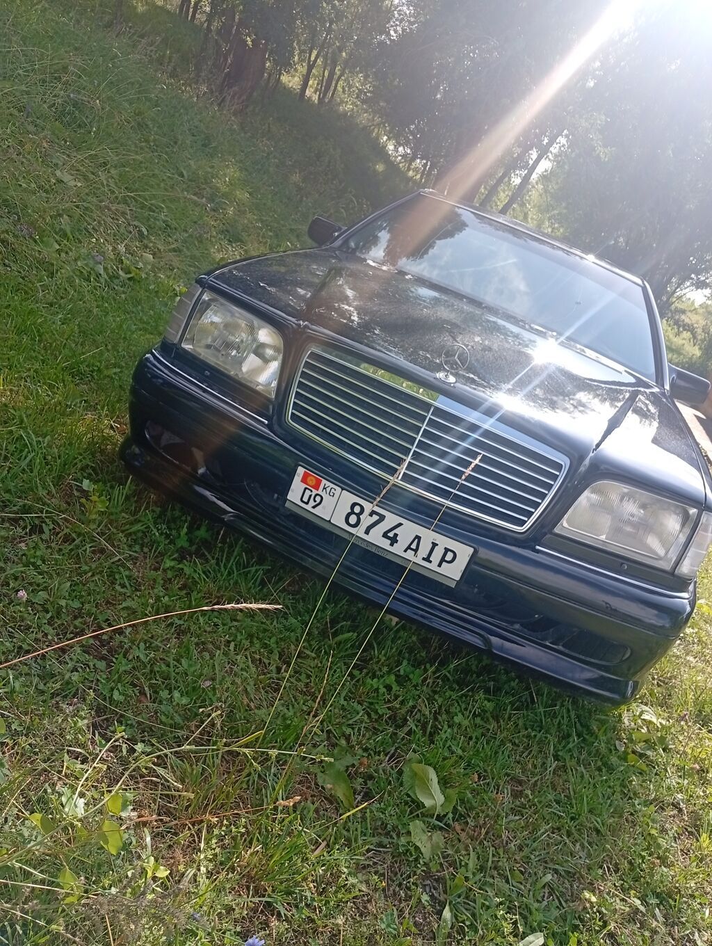 Mercedes-Benz S-Class: 1995 г., 5 л, Автомат, Газ, Седан: фото 2