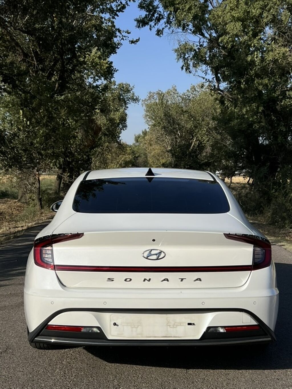 Hyundai Sonata: 2019 г., 2 л, Автомат, Бензин, Седан: фото 3