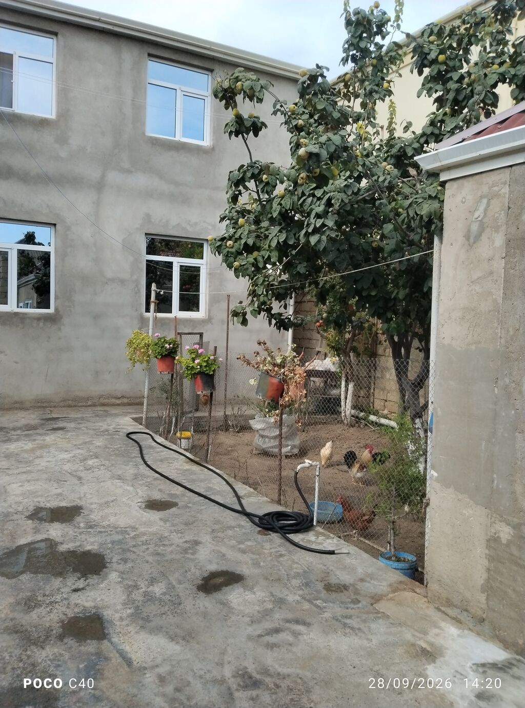 6 otaqlı, 200 kv. m, Kredit var, Orta təmir