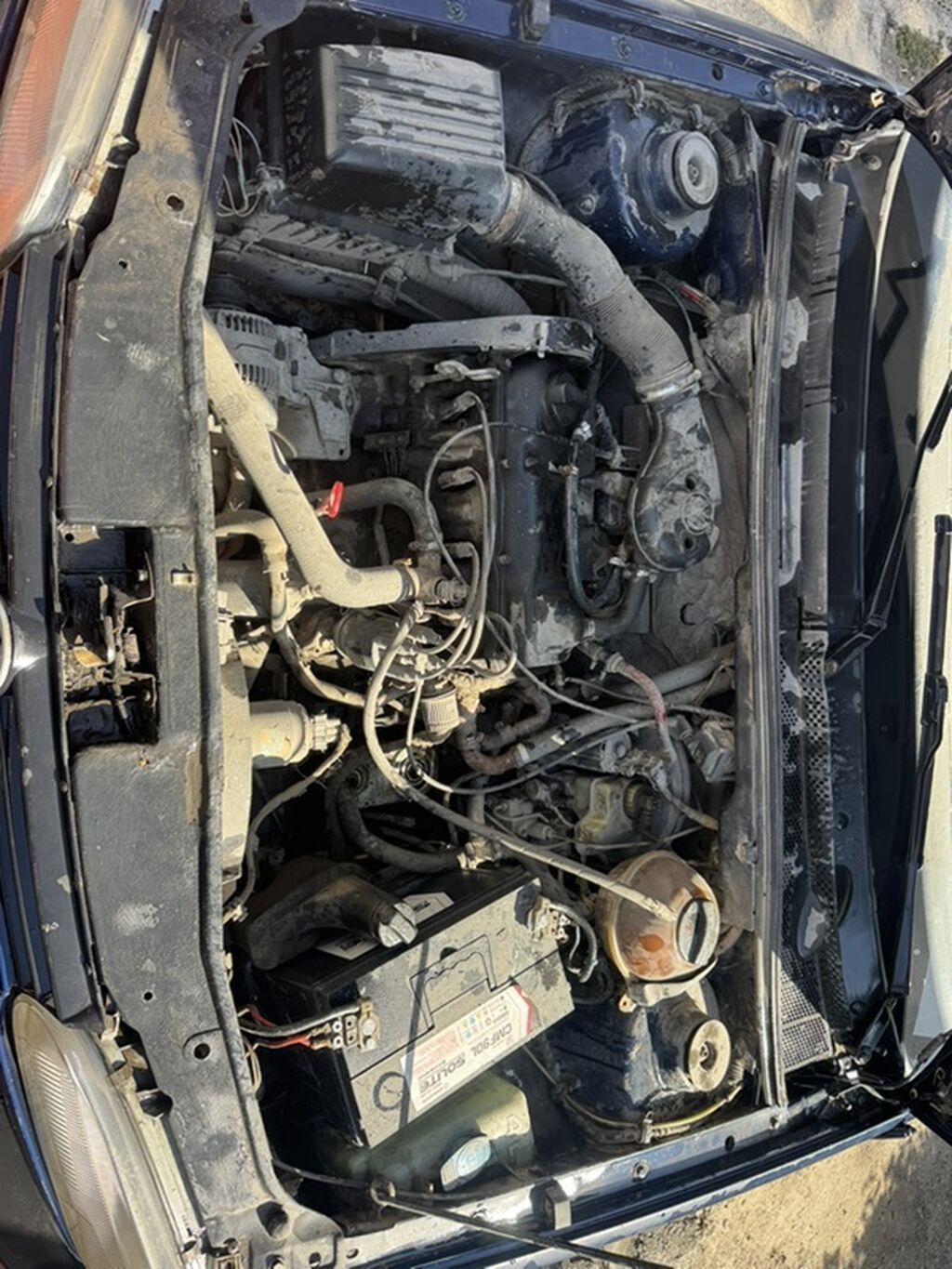 Volkswagen Golf: 1993 г., 1.8 л, Автомат, Бензин, Хэтчбэк: фото 7