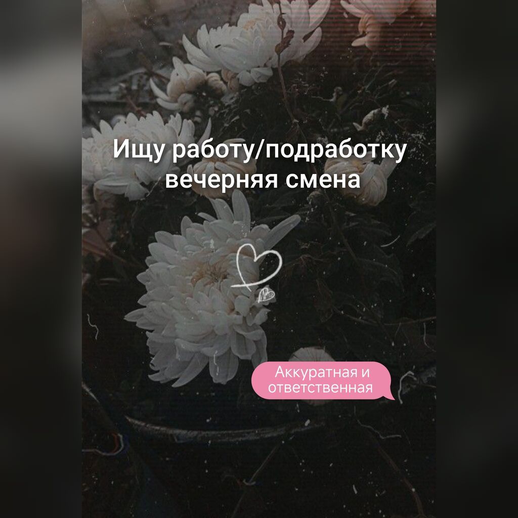 Ищу подработку на свободное время с 08:00 до 17:00 часов вечера
