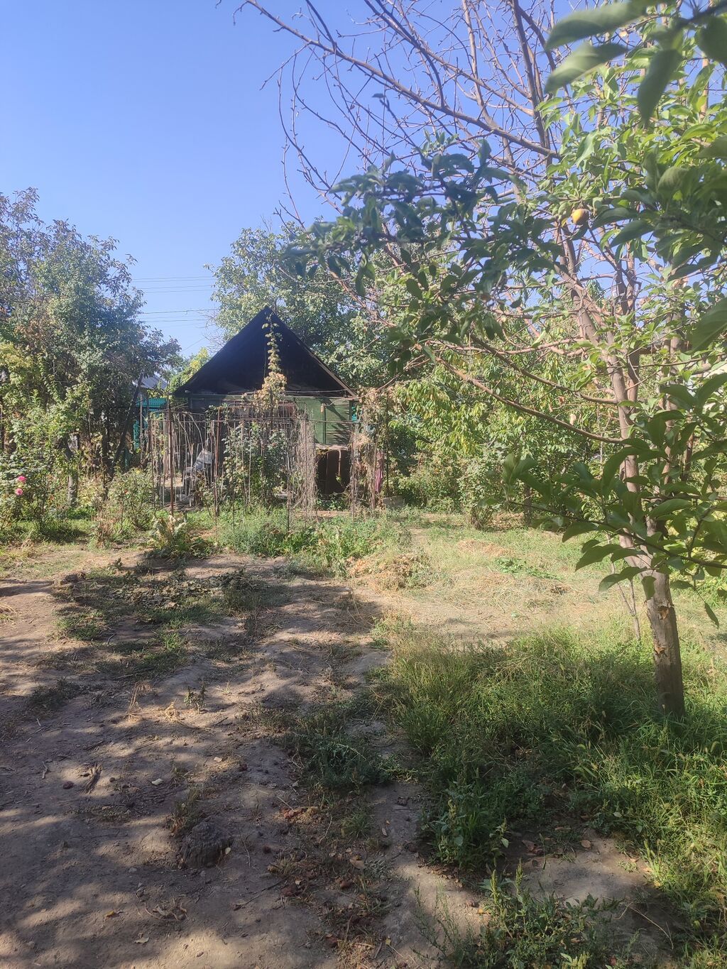 6 соток, Тех паспорт: фото 6