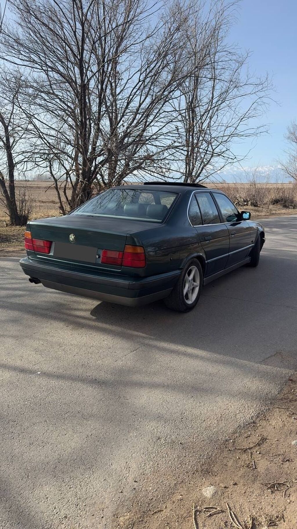 BMW 5 series: 1992 г., 2.8 л, Механика, Бензин, Седан: фото 2
