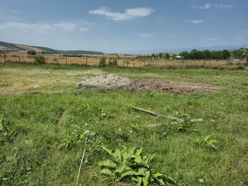 25 sot, Tikinti, Mülkiyyətçi, Kupça (Çıxarış)