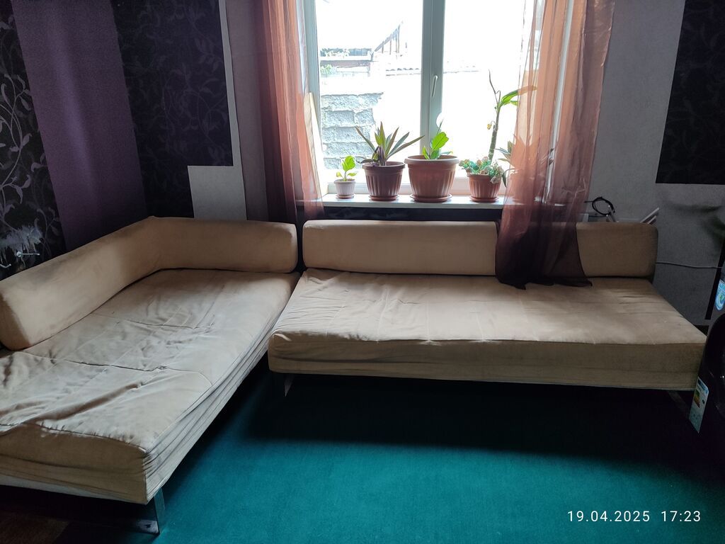 15 м², С мебелью: фото 4