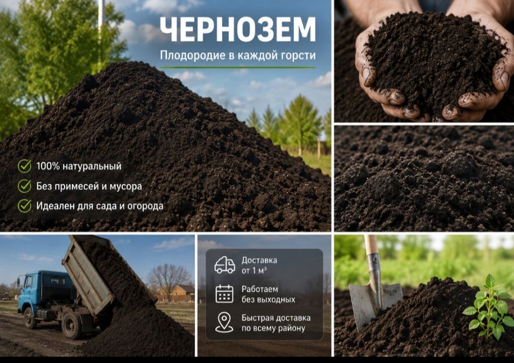 В тоннах, Зил: фото 2