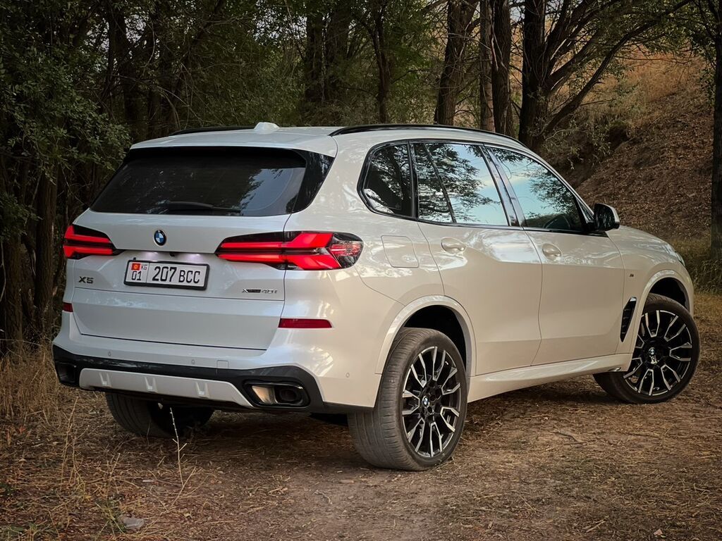 BMW X5: 2023 г., 3 л, Автомат, Бензин, Внедорожник: фото 6