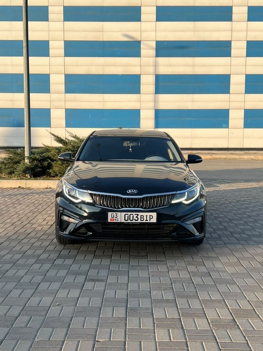 Kia K5: 2019 г., Автомат, Газ, Седан: фото 3