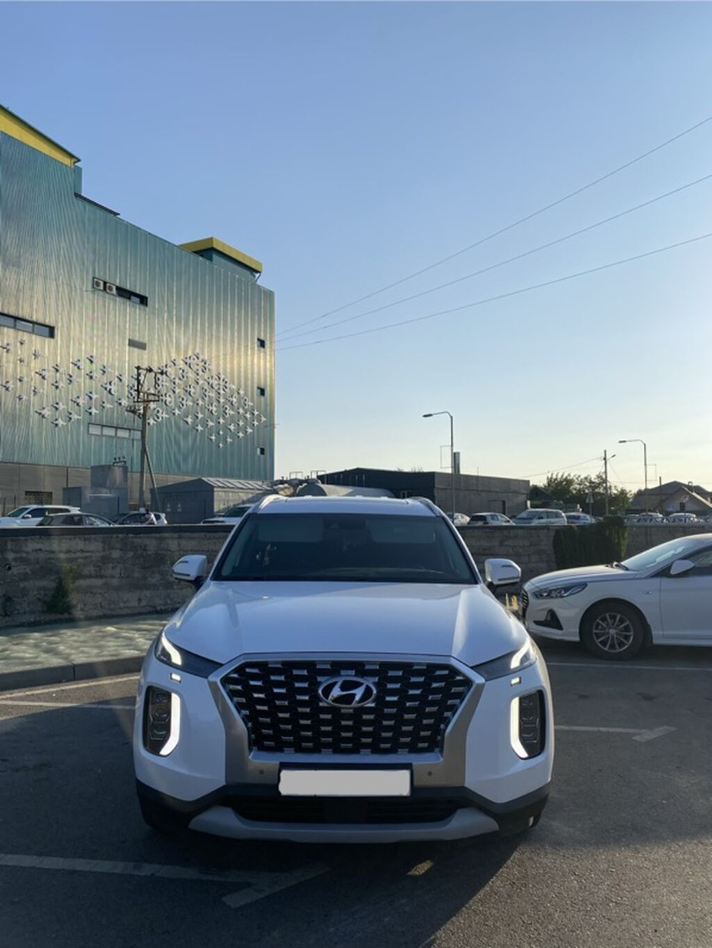 Hyundai Palisade: 2020 г., 2.2 л, Автомат, Бензин, Кроссовер: фото 2