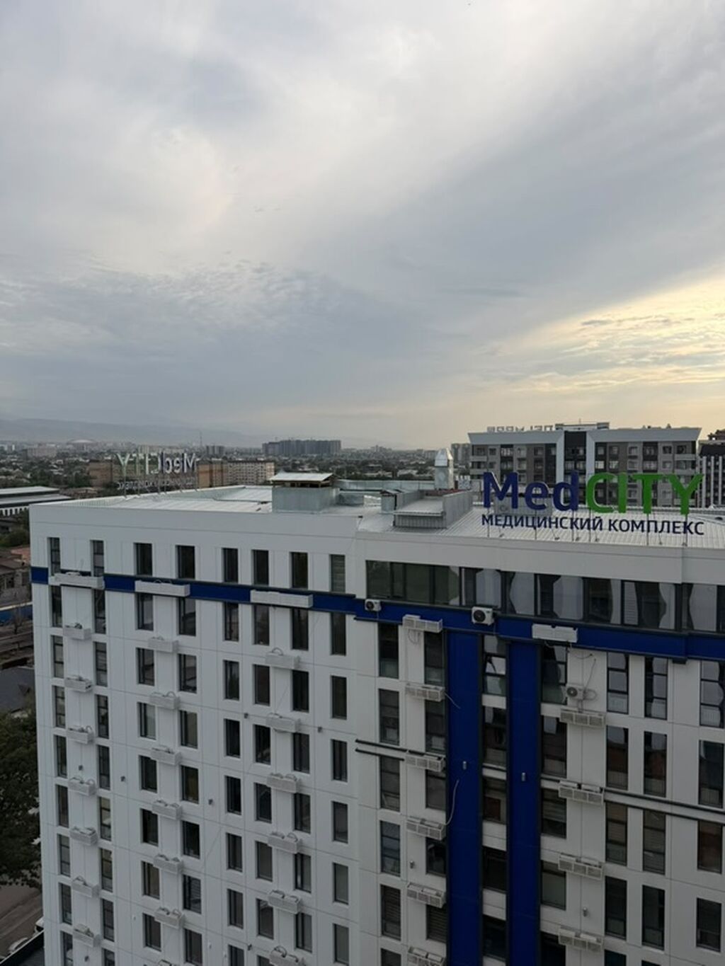 3 комнаты, 130 м², Элитка, 13 этаж, ПСО (под самоотделку): фото 7