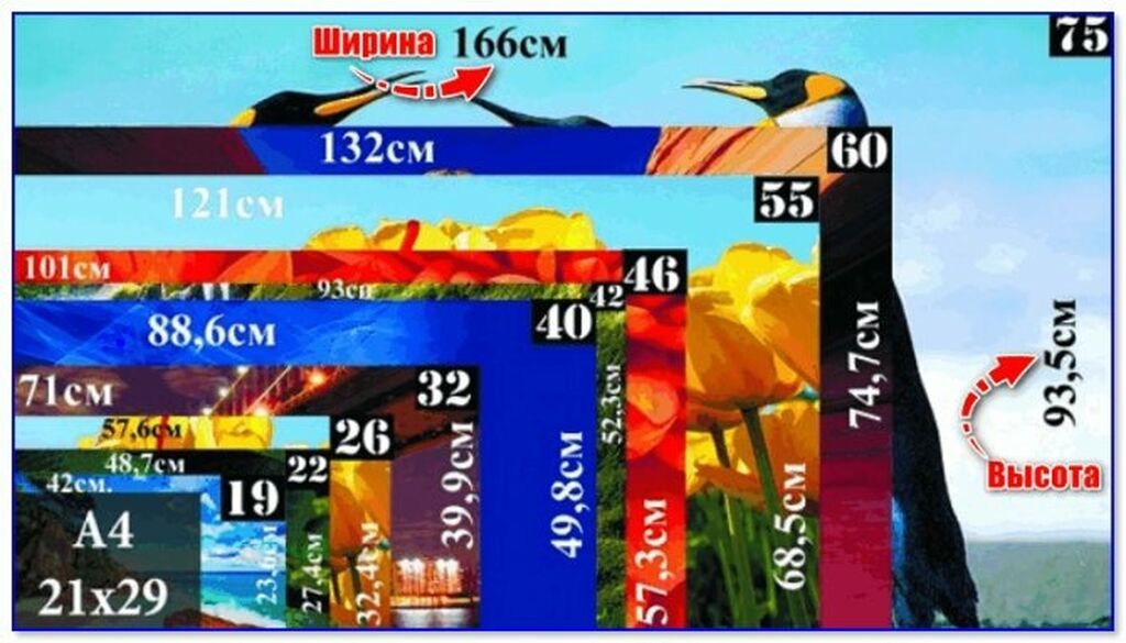 Как определить размер телевизора по диагонали для комнаты